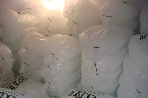 12kg bags of ice cubes.